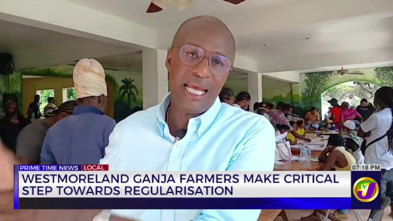 Westmoreland Ganja Farmers Make Critical Step Towards Regularisation | TVJ News