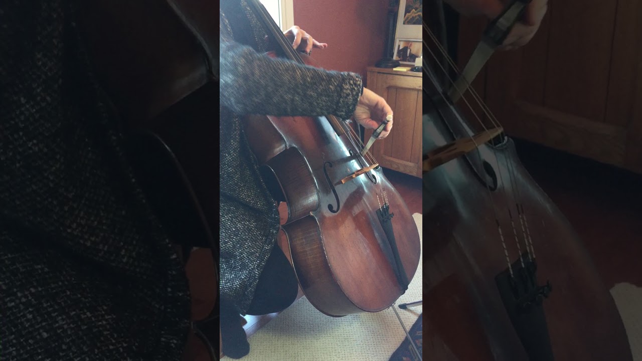 Jérôme Thibouville-Lamy (JTL) 'Copie de Guadagnini' Cello Early 20th C.