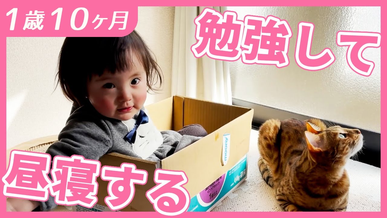 #1歳10ヶ月　勉強したら昼寝する1歳娘【切り抜き】