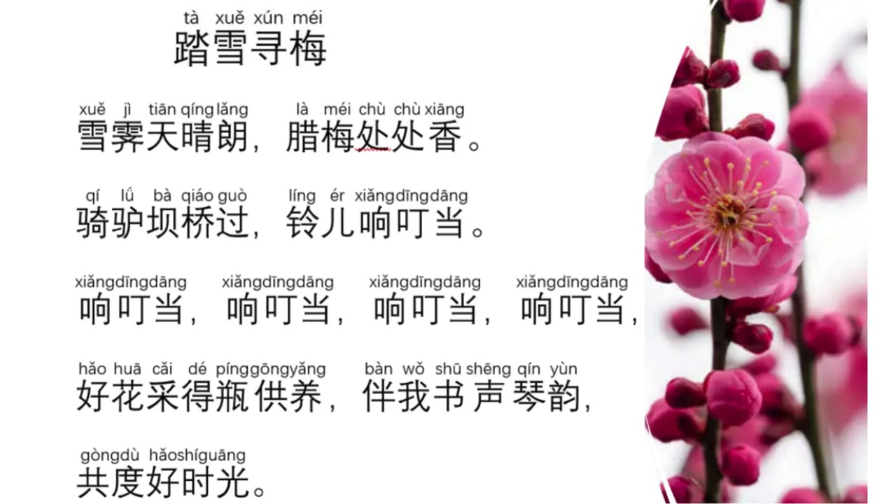 Ta Xue Xun Mei  - Chinese Song