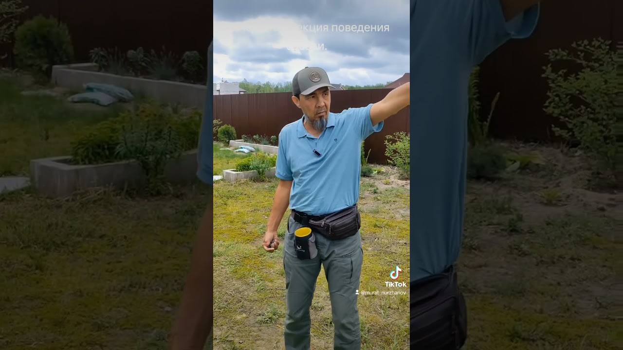 Намордник , поводок - ОБЯЗАТЕЛЬНО!