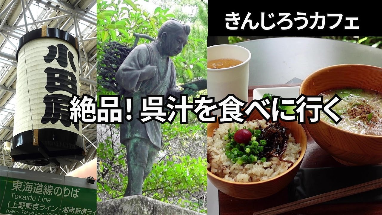 【神奈川の杜カフェ】小田原城横の報徳二宮神社にはステキなカフェがあります。帰りはロマンスカーEXEで。【きんじろうカフェ】