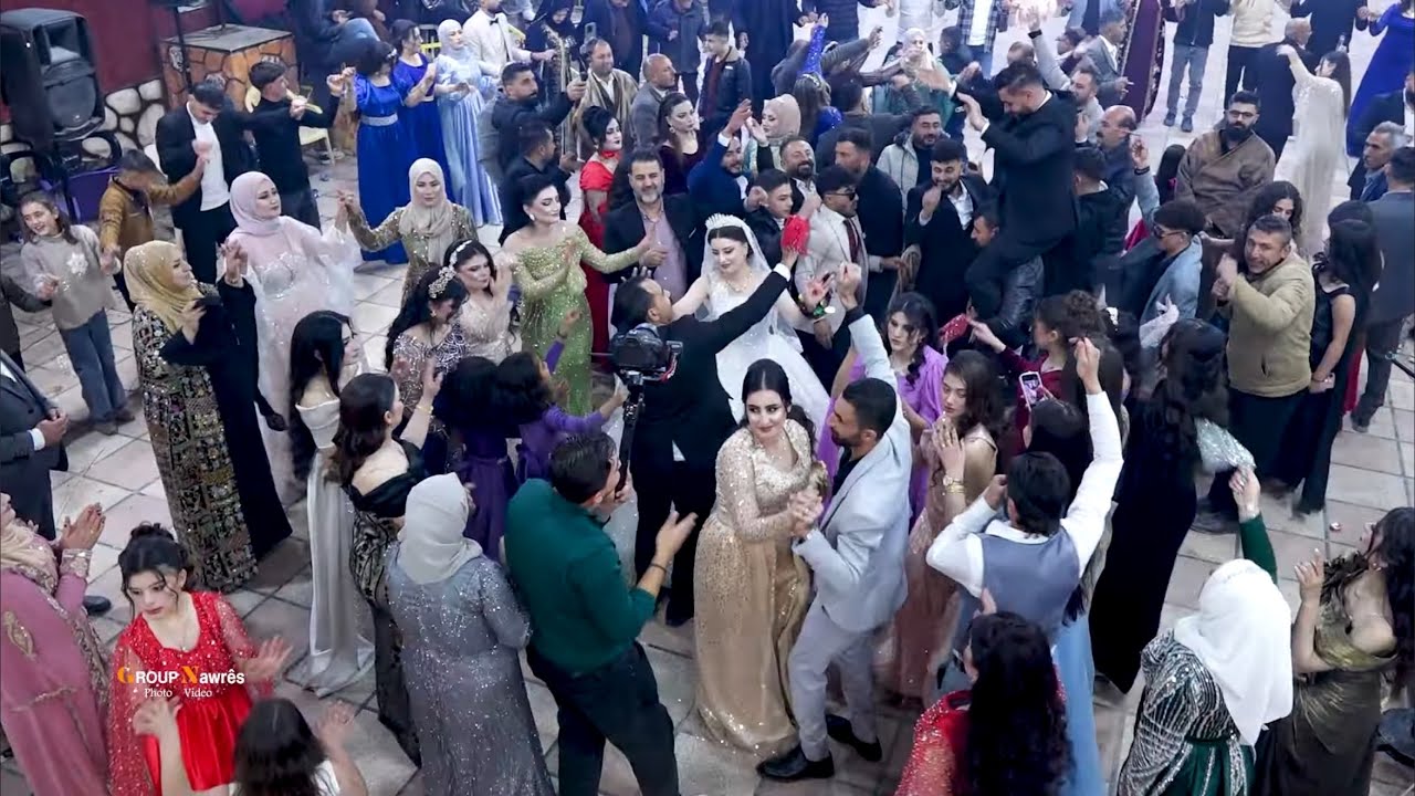 زفاف احمد ❤️ هولير كروب نورس للتصوير اعراس مزكين ملالي ابو نورس رقص شيخاني كردي اعراس بادينا 2026