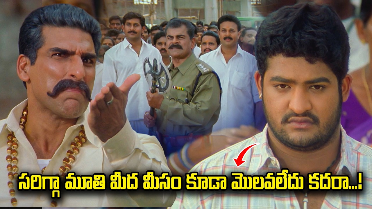సరిగ్గా మూతి మీద మీసం కూడా మొలవలేదు కదరా | Simhadri | Jr NTR | Bhumika | S. S. Rajamouli