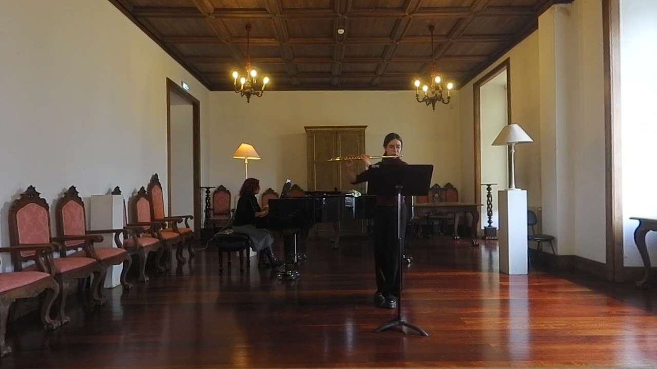 Mozart Flute Concerto 2nd Movement