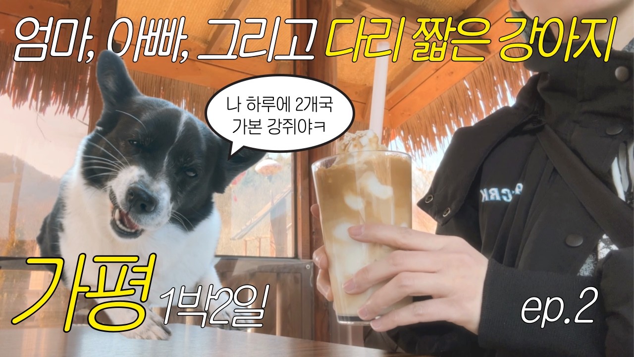 가평 여행 vlog | 🇪🇸🇻🇳 가평과 양평 안에서 끝내는 2개국 여행 [ep.2]  | 반려견 동반 가족 여행