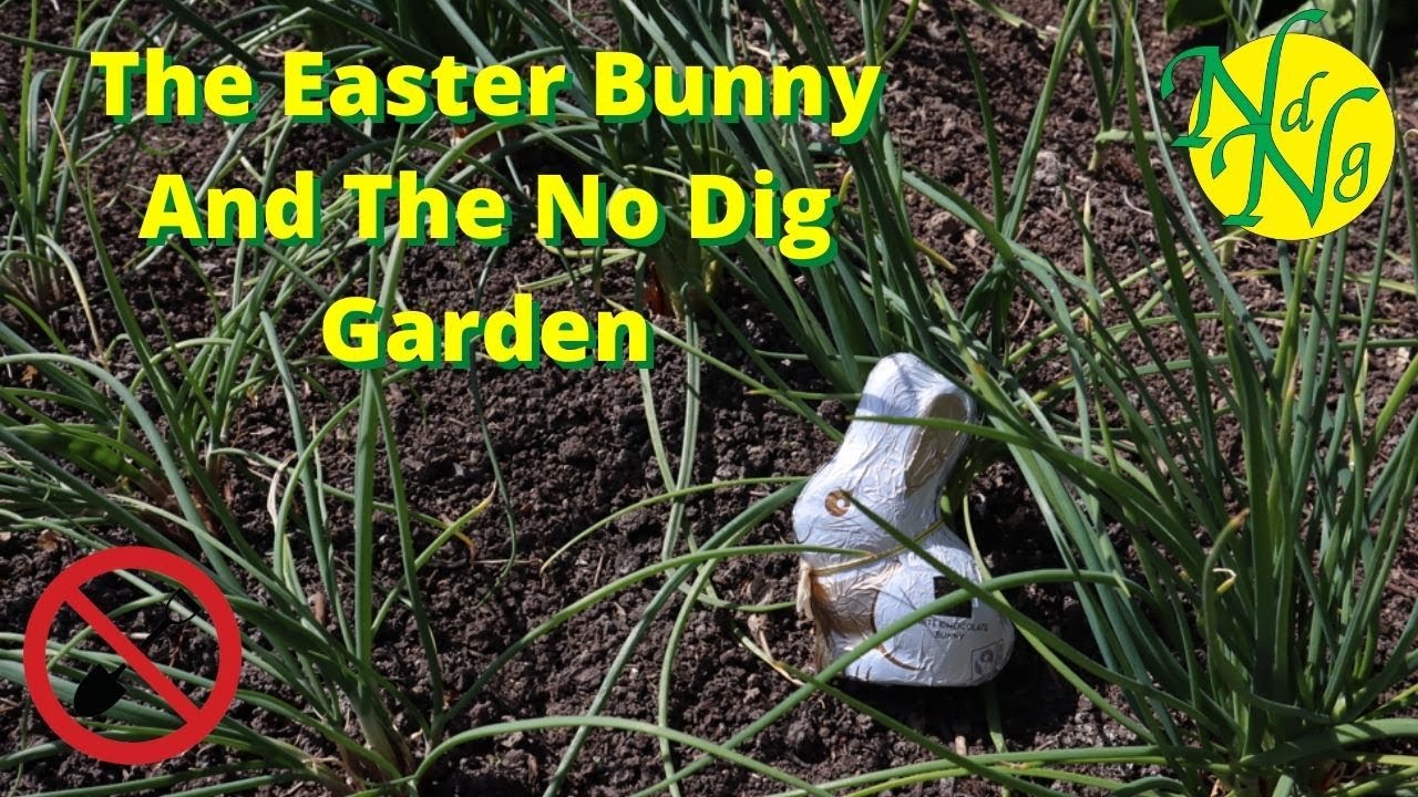 The Easter Bunny And The No Dig Garden