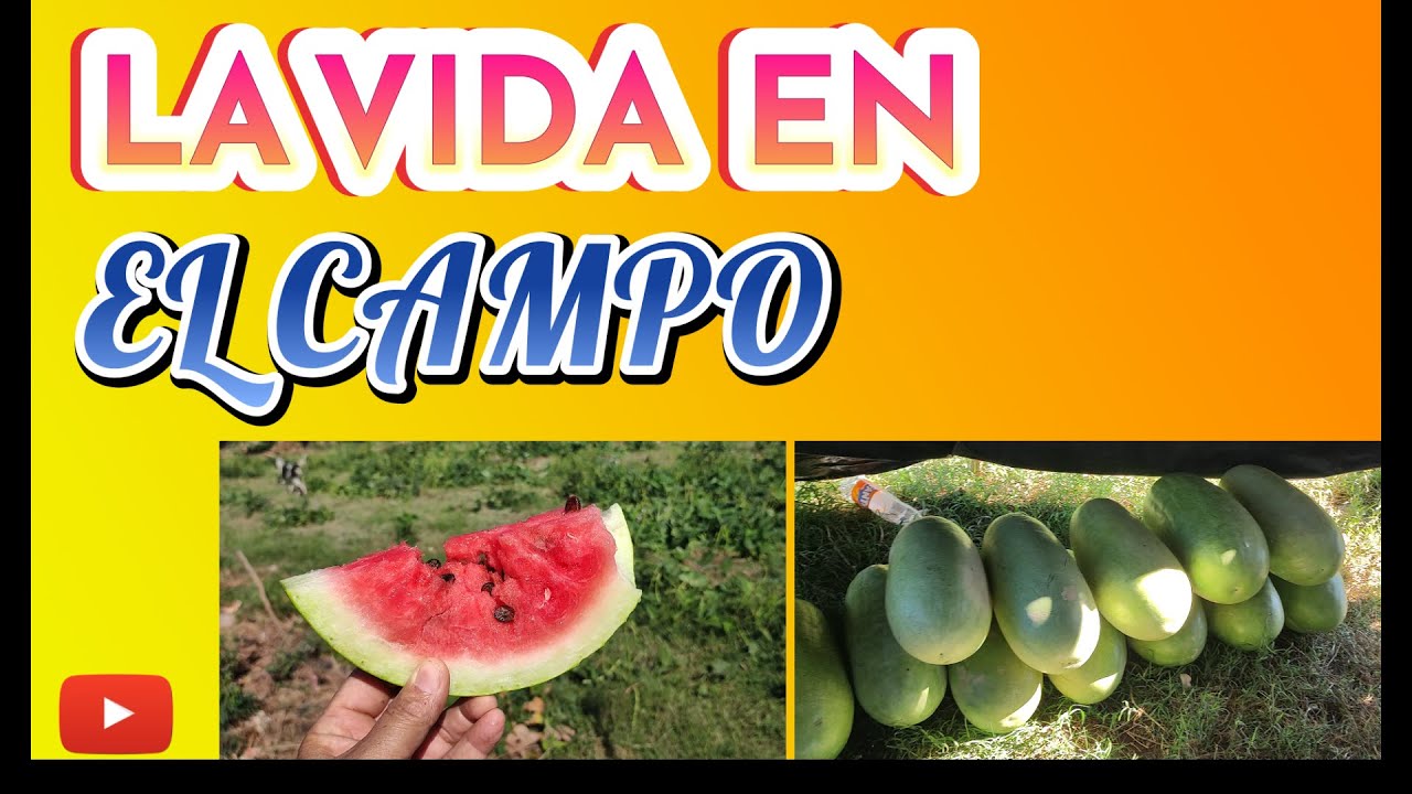 lA VIDA EN EL CAMPO
