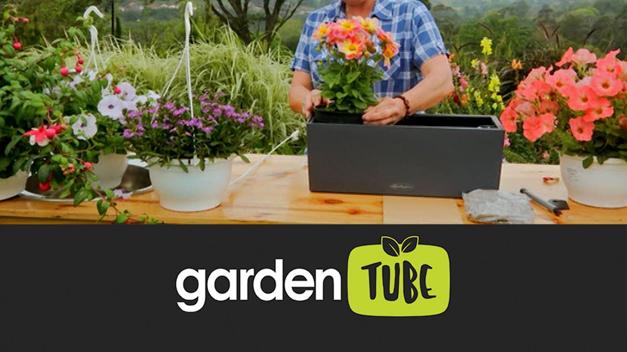 Planting Up A Wall Planter