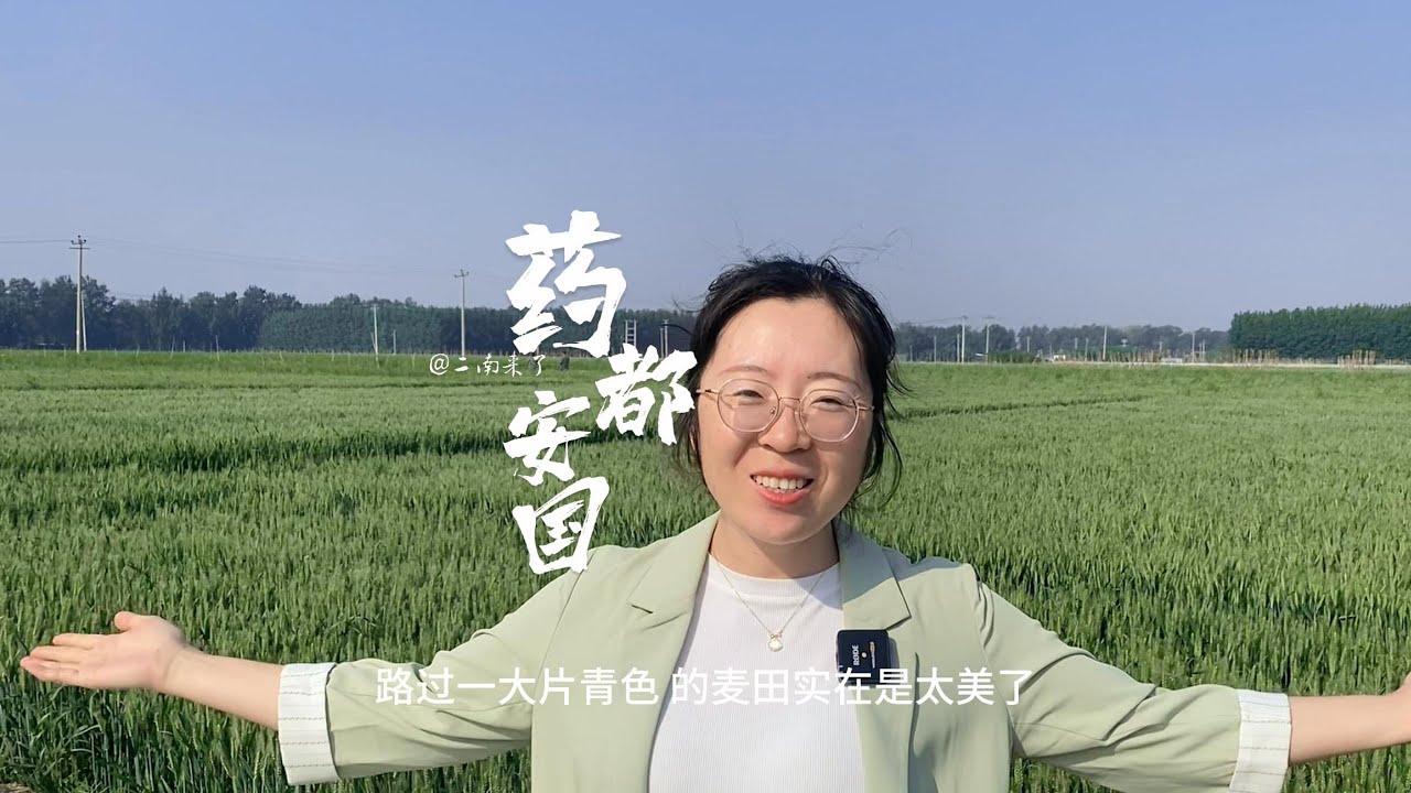 二南来到了河北省安国市，这里是药都，满大街都是与药有关的产业