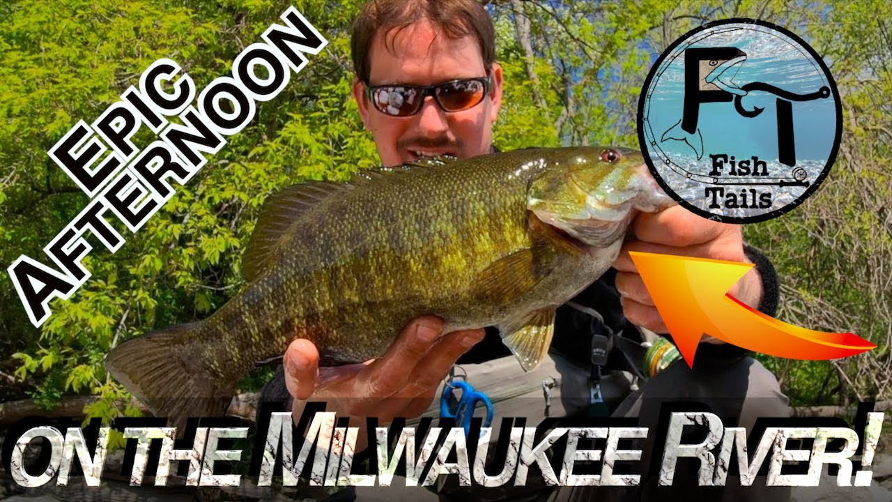 Milwaukee River Fishing - Smallmouth Bass, Trout & More! - EPIC afternoon - tons of fish from shore!