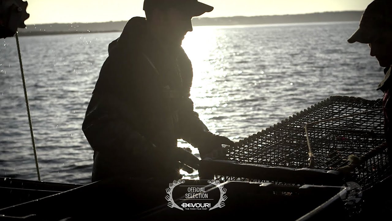 Lobster Fishing - Meteghan, Nova Scotia