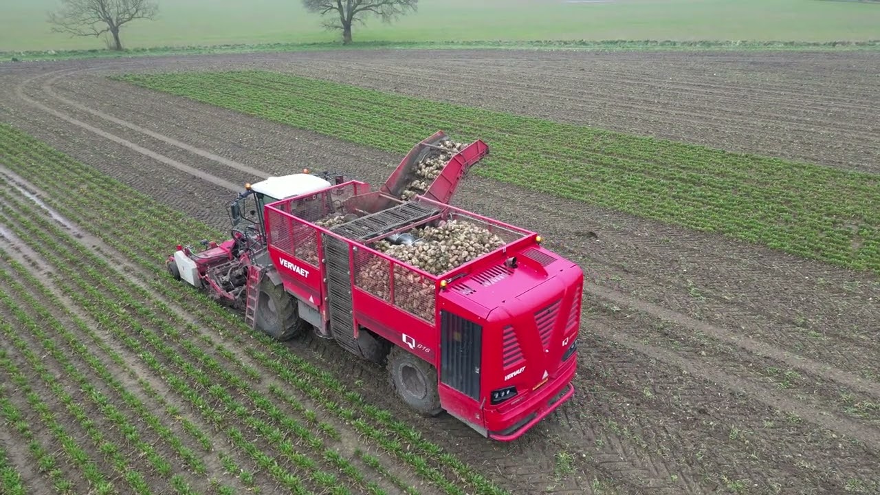 Vervaet Q-616 Sugar Beet Harvester