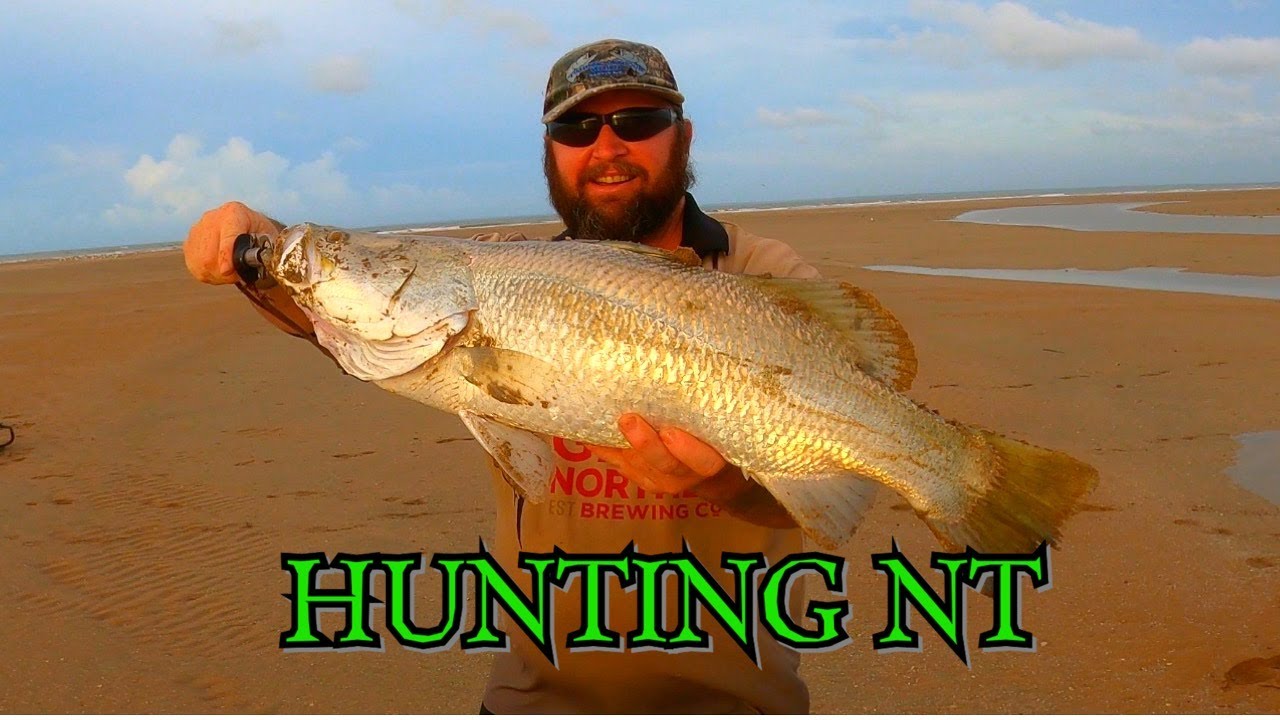 BARRAMINDI CATCH AND COOK