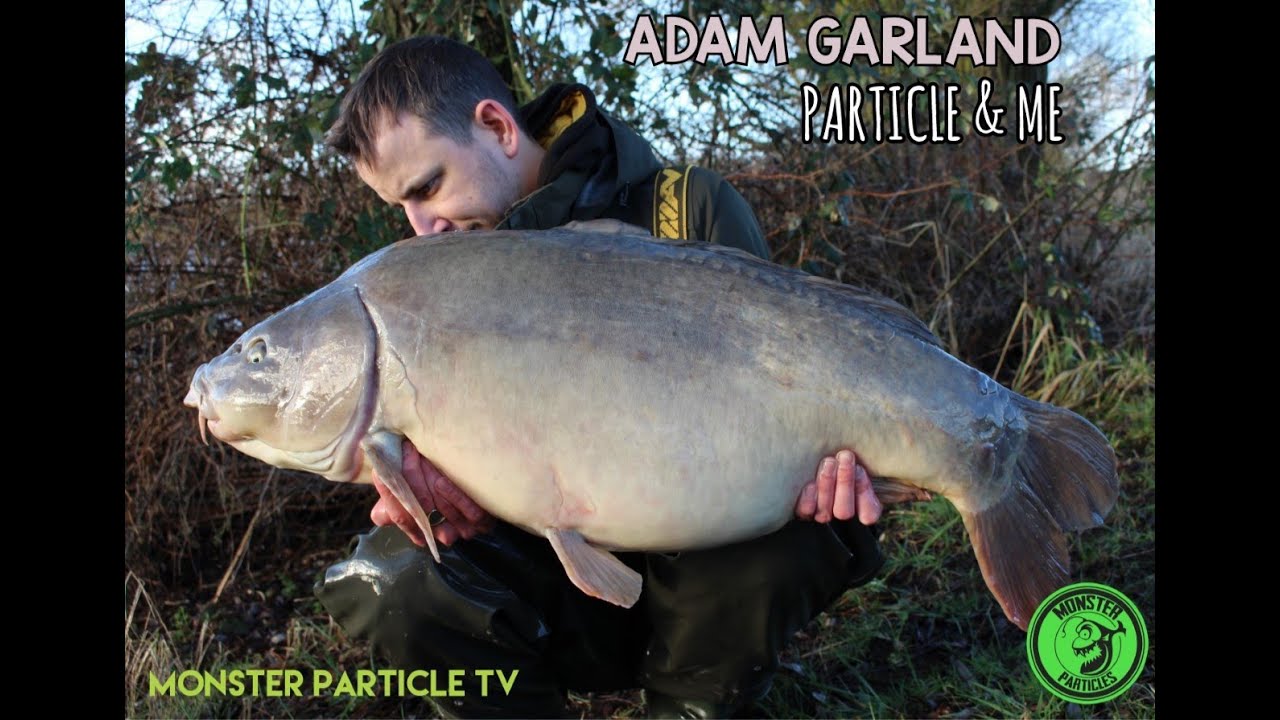 **MONSTER PARTICLE TV**  ADAM GARLAND... PARTICLE AND ME