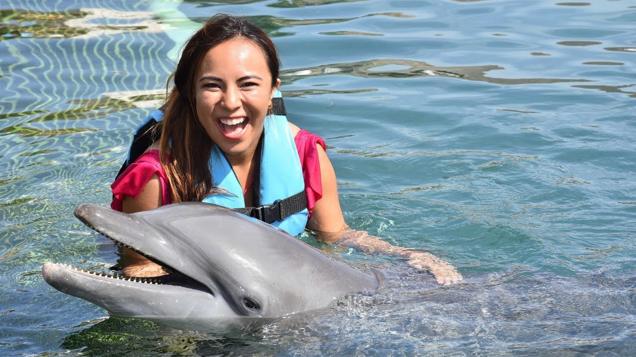 Dolphin Discovery - Riviera Maya - Swim with Dolphins