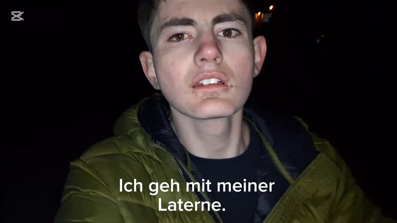 Florian Eichner - Ich geh mit meiner Laterne (Official Visualizer)