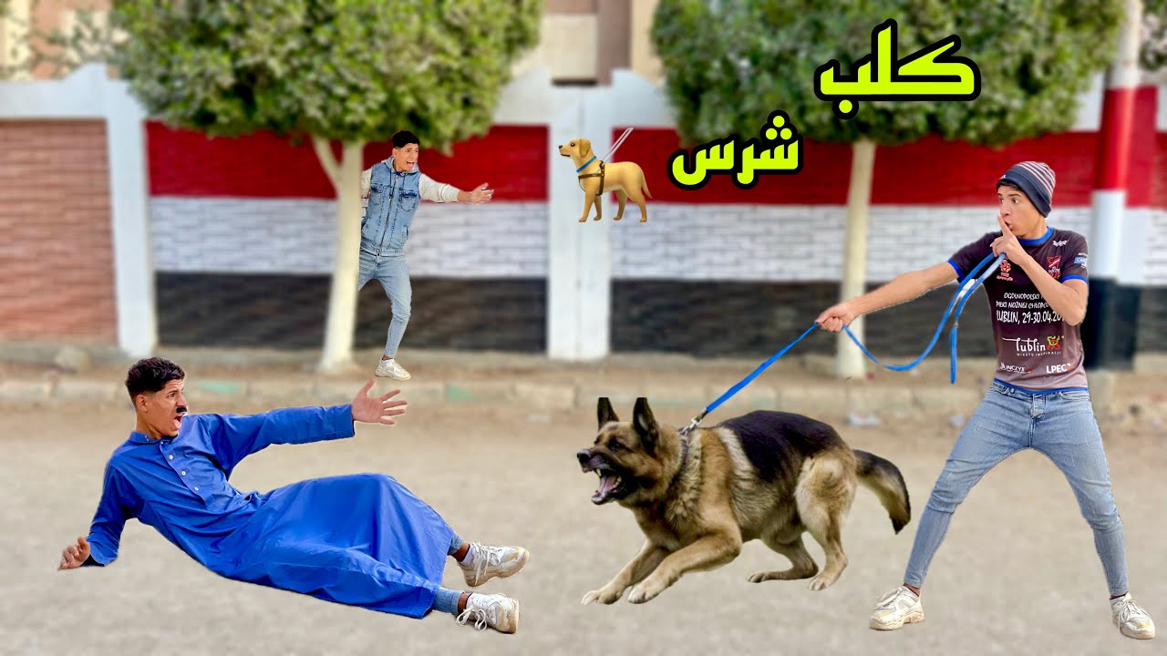 لما اخوك الصغير يلاقي كلب مفترس 🐕 في الشارع ويجيبوا البيت 😱😂| علاء