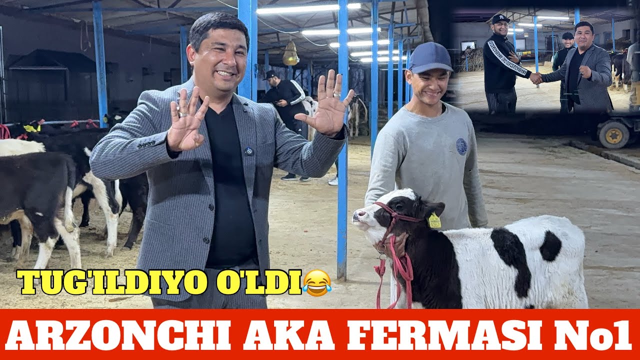ARZONCHI AKA FERMASI BO'MBA AKSIYA ☎️991064444 ☎️974120909 SUV TEKINGA BUZOQCHALA SOTILADI