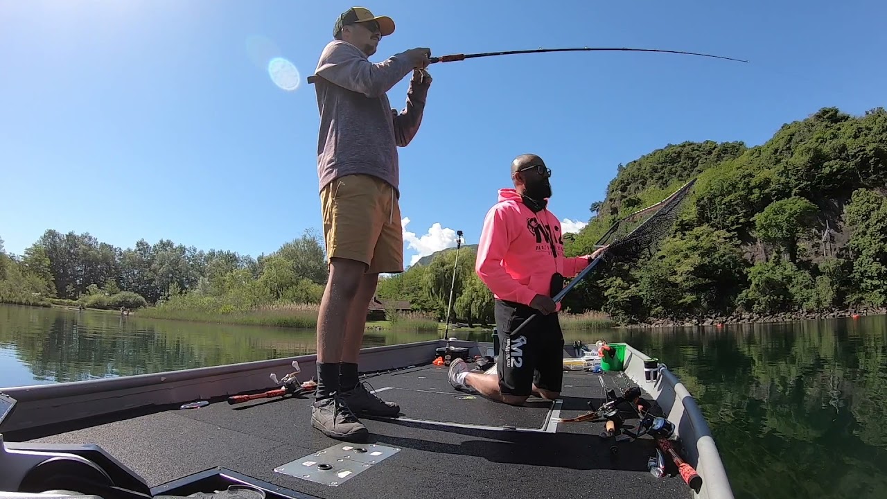 The big Pikes of the Mergozzo lake!!!