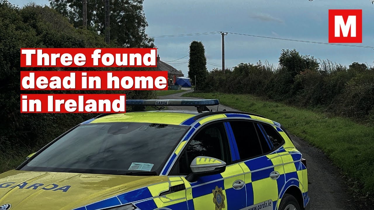 Three 'stabbed to death' as gardai respond to 'serious ongoing incident' in Louth