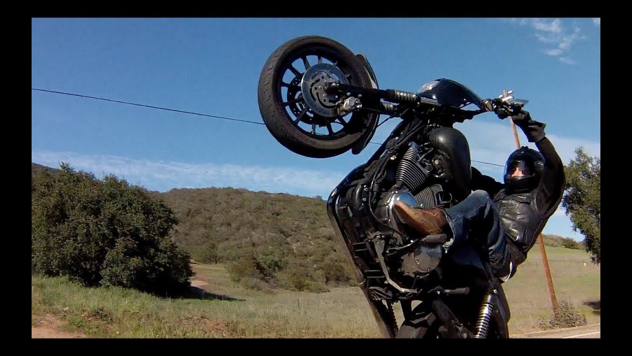 Harley Davidson Wheelies and More