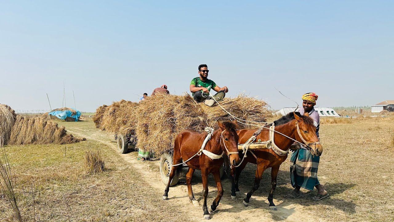 আমাদের এক দিনে চর ভ্রমণ🇧🇩