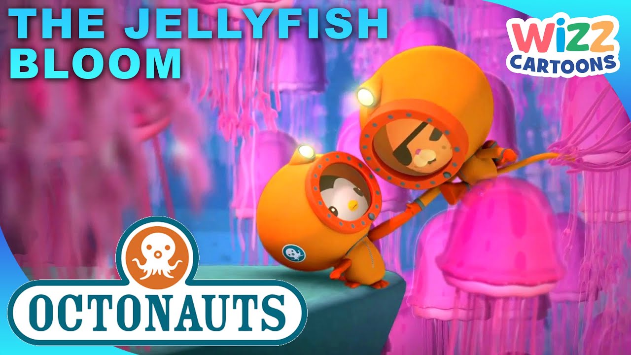 ​@Octonauts - The Jellyfish Bloom 🪸 | Series 1 | Full Episode 36 | @WizzCartoons
