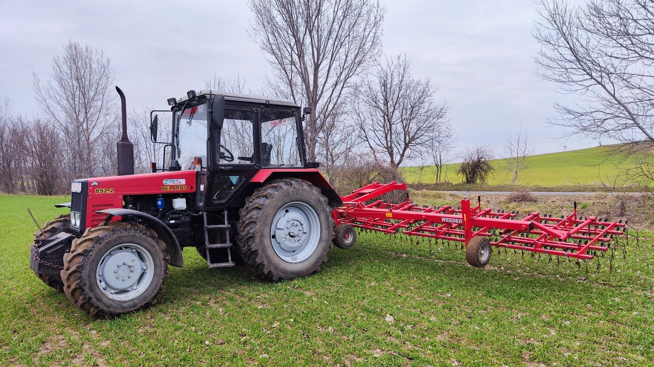 Búza gyomfésűzés 2023 / MTZ 892.2 + HE-VA Weeder