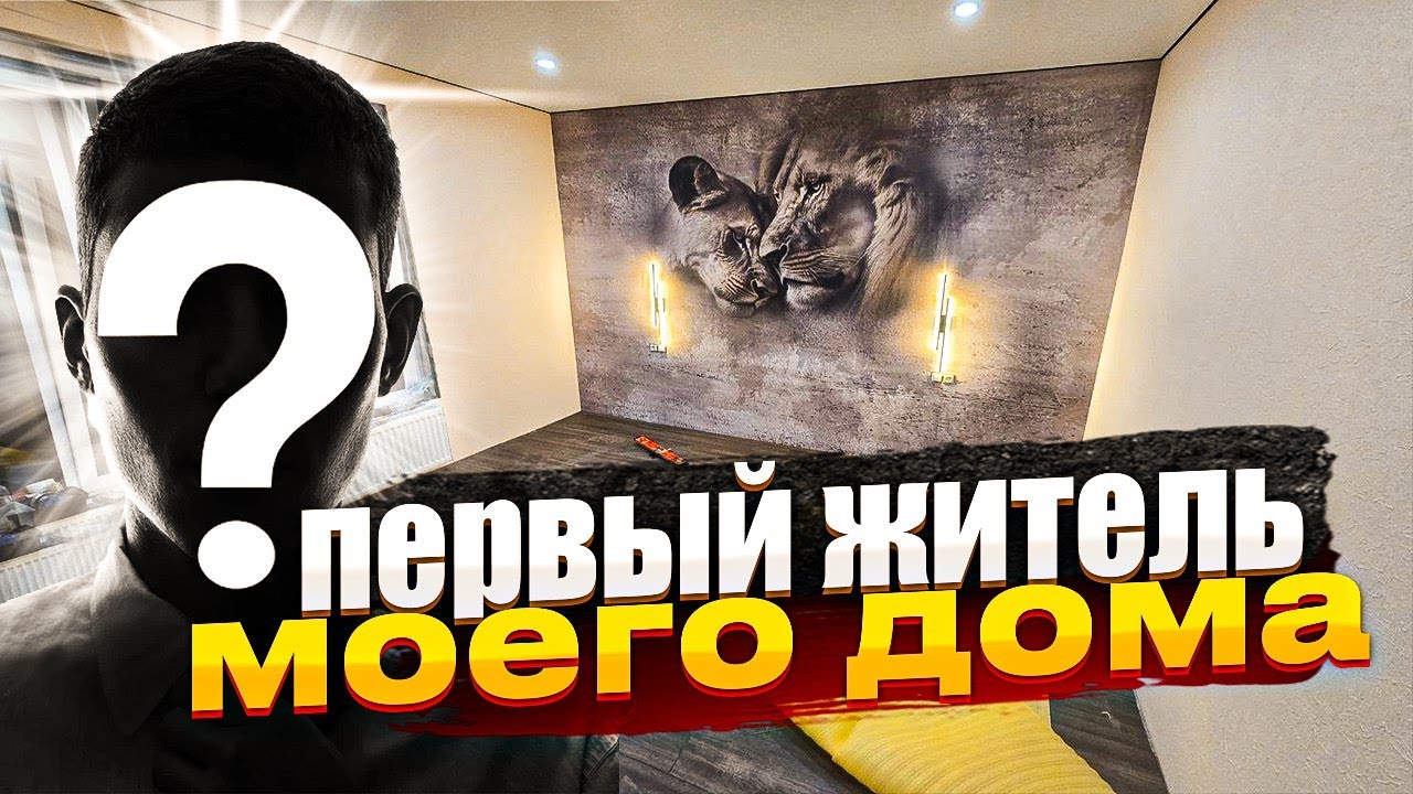 В Доме уже Можно ЖИТЬ?! 15 серия