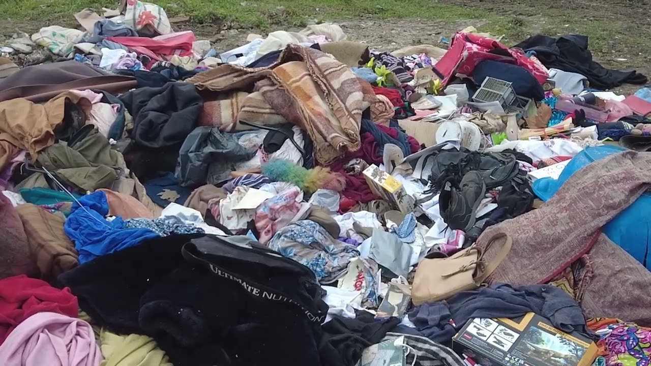 Pančevo: Javna komunalna preduzeća  „Higijena“ i „Zelenilo“ udruženim radom do čistije okoline