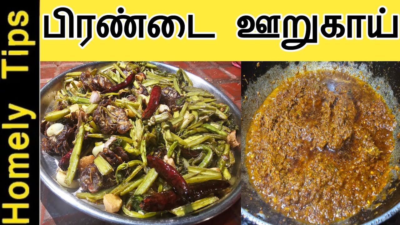 பிரண்டை ஊறுகாய் செய்வது எப்படி| Pirandai Pickle Recipe in tamil | adament creeper recipe in tamil
