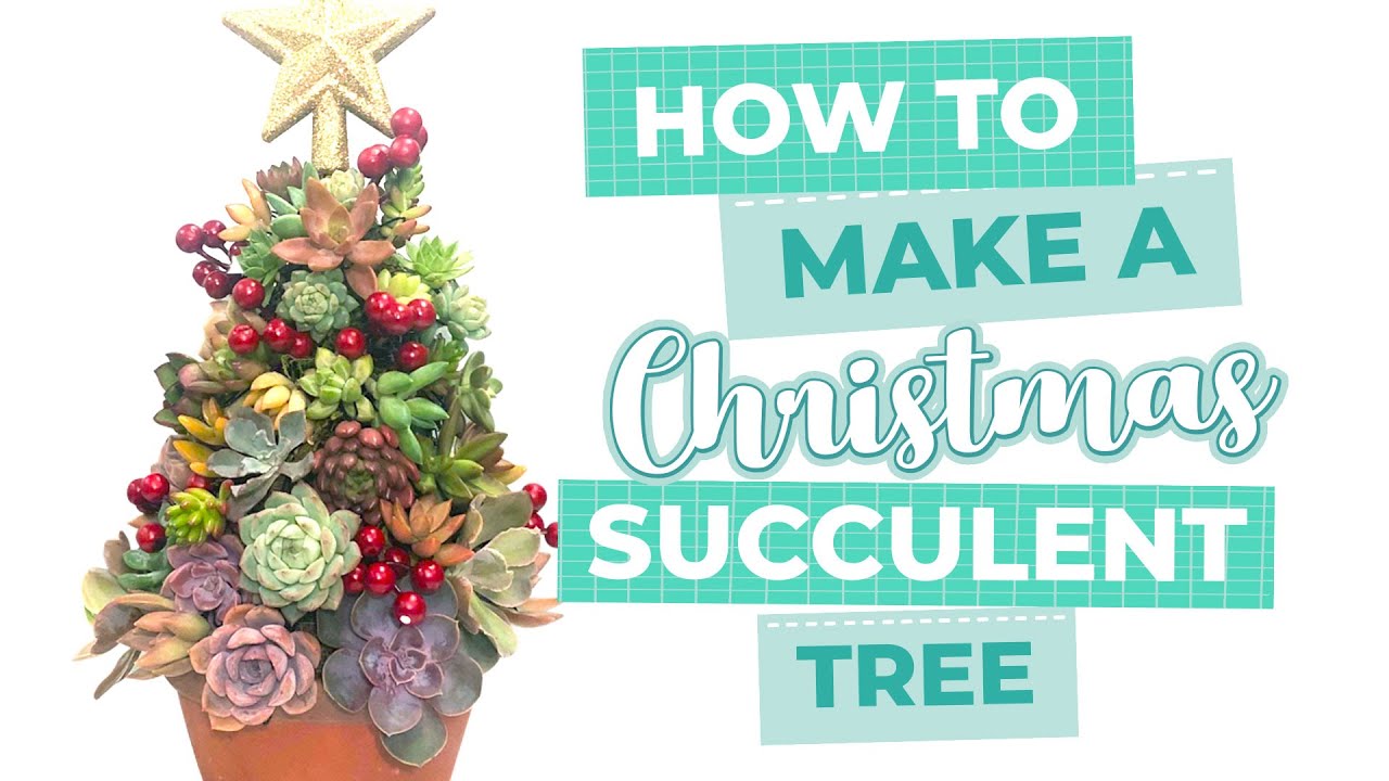 DIY Succulent Christmas tree | How to | Amazing Succulent DIY Projects