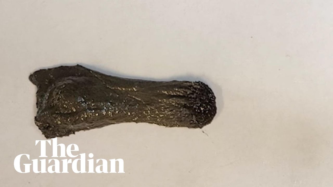 Scientists develop a moving, shape-shifting magnetic slime