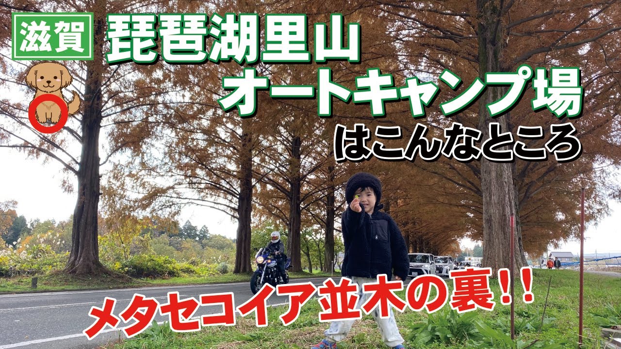 メタセコイア並木の裏！収穫体験もできる！琵琶湖里山オートキャンプ場