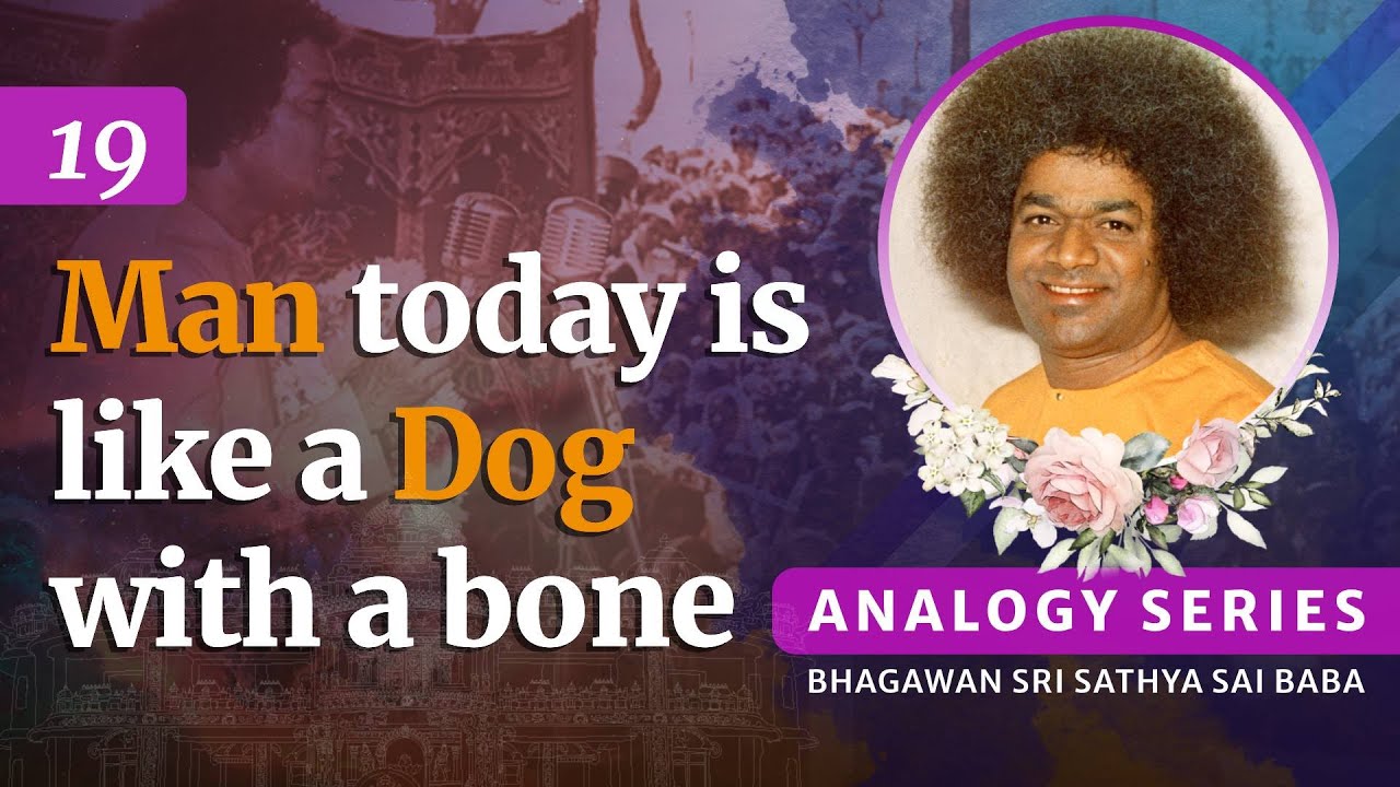 19 - Today's man is like a dog with a bone |  Analogy Series | Sri Sathya Sai Speaks | Oct 10, 2002