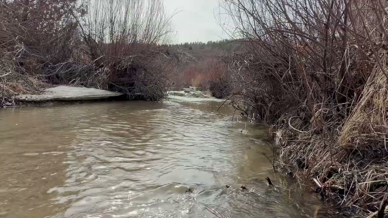 Flowing Creek at Castlewood Canyon | Theta Wave Music for Sleep, Study & Meditation.