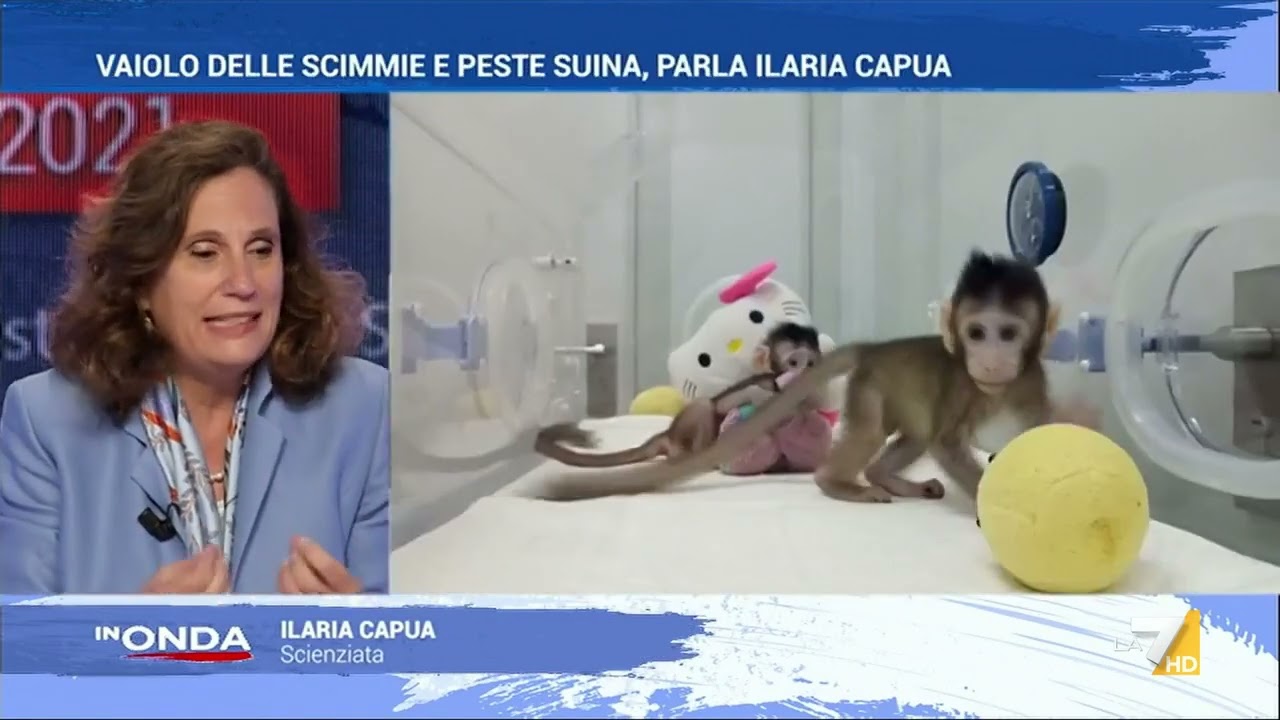 Vaiolo della scimmia, Capua: 