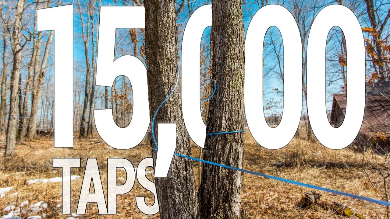 15,000 tap operation