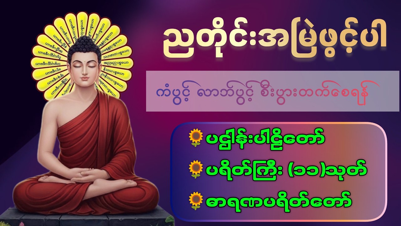 ☘️🌍ညစဥ်ဖွင့်ထား၍ အိပ်စက်အနားယူပါ ပဋ္ဌာန်း နှင့် မေတ္တာပို့ - ဘေးအန္တရာယ်ကင်းစေသောတ‌ရားတော်များ🙏🙏🙏