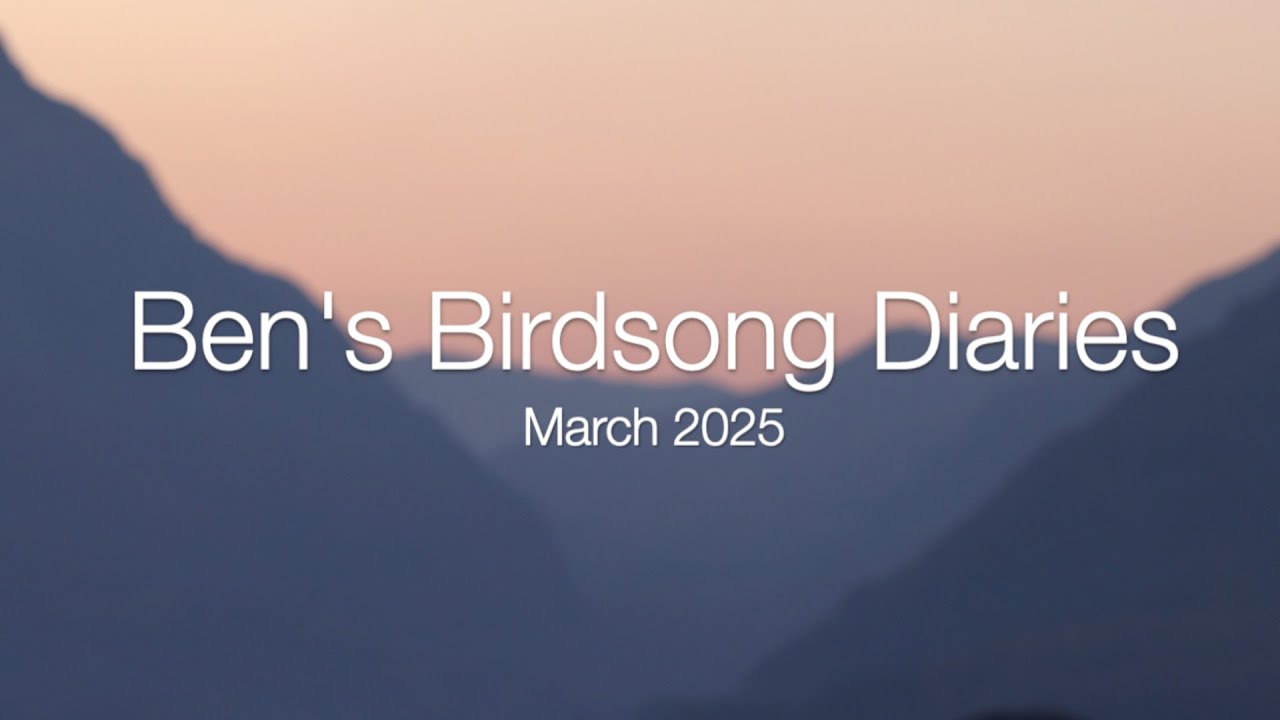 Ben's Birdsong Diaries: early spring in North Wales