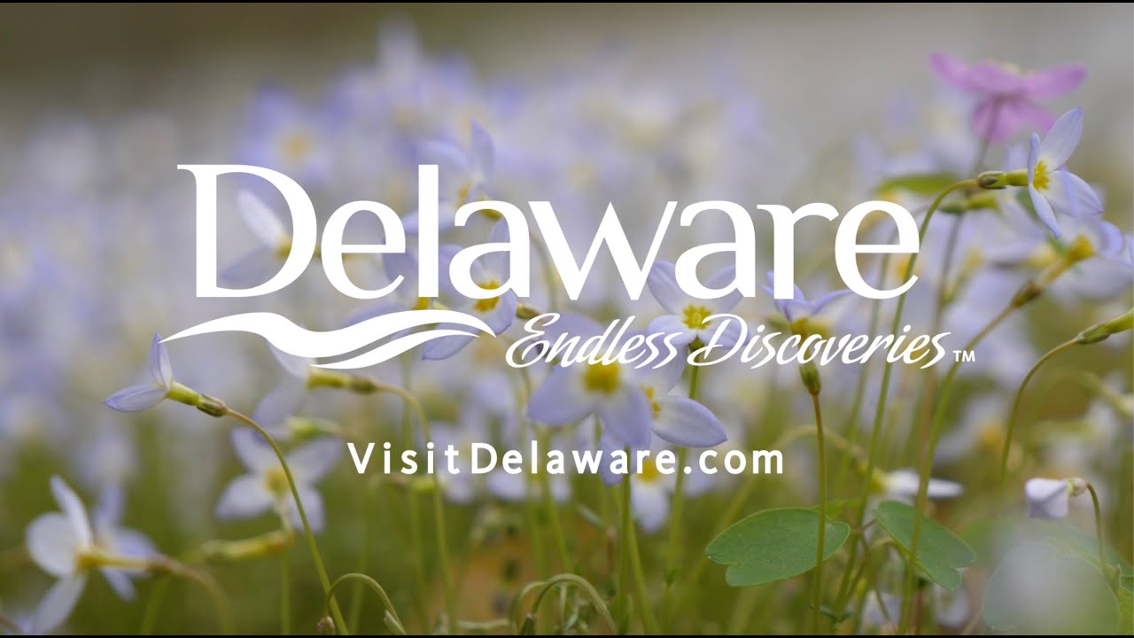Delaware’s Gardens: Mt. Cuba Center