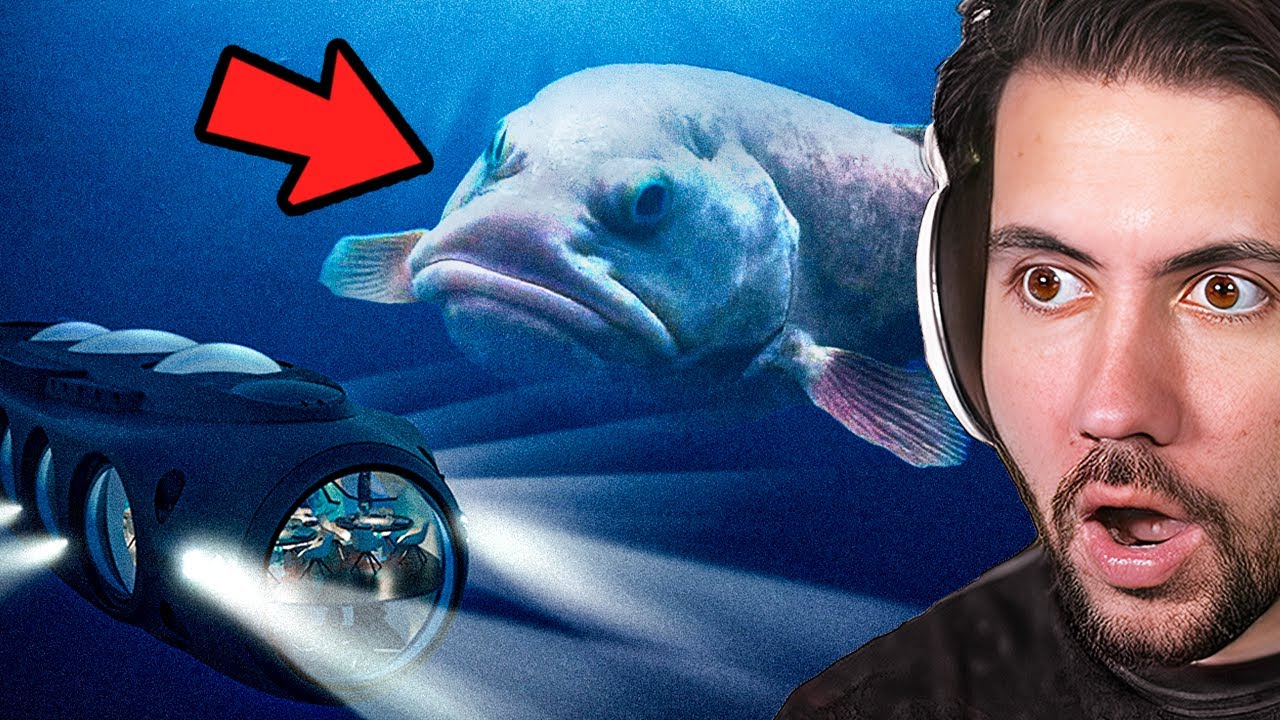 Ocean Discoveries That Cannot be Explained!
