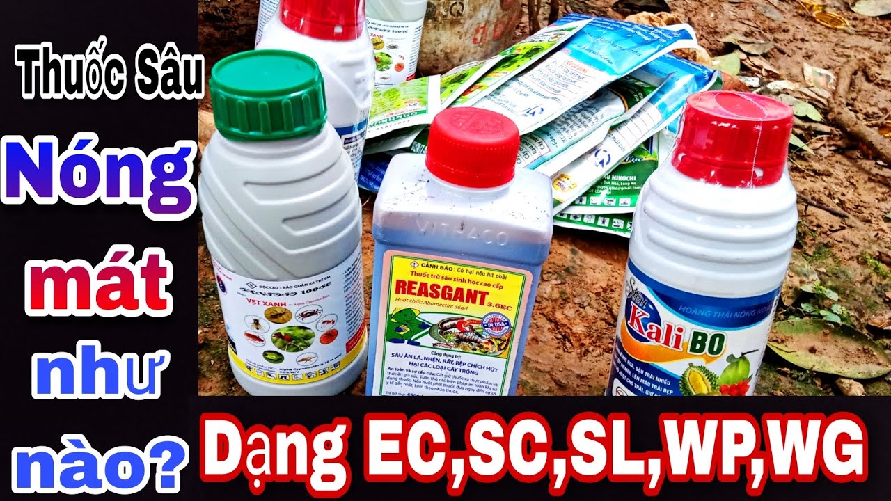 Thuốc Trừ S&acirc;u N&Oacute;NG, M&Aacute;T, c&aacute;ch chỉ cần nh&igrave;n tr&ecirc;n nh&atilde;n chai l&agrave; biết/tr&aacute;nh rụng v&agrave; hỏng c&acirc;y cam bưởi