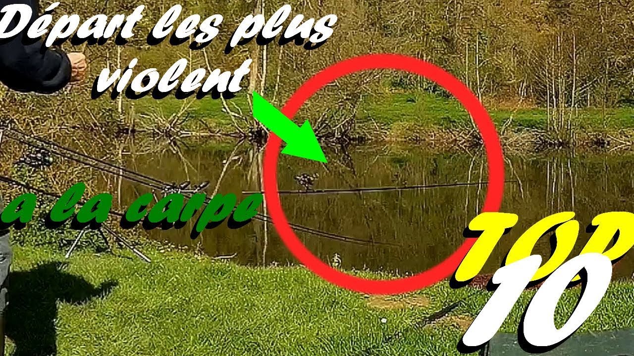 TOP 10 DES D&Eacute;PART LES PLUS VIOLENT A LA CARPE |Carp Run Compilation|