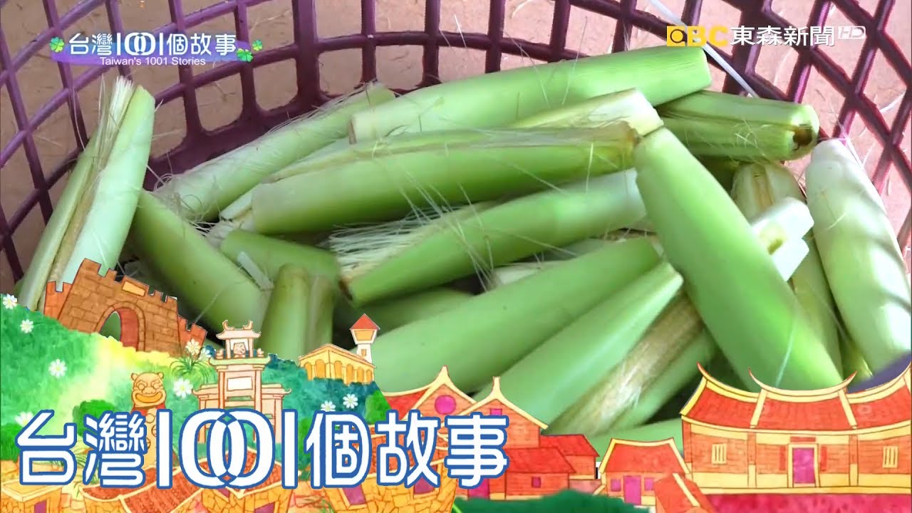古坑白糯玉米筍 翻轉偏遠農村 part2 台灣1001個故事