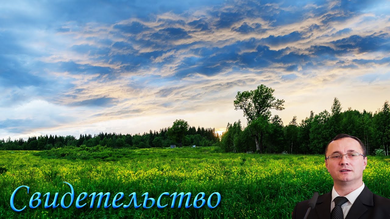 Свидетельство. Козин Михаил
