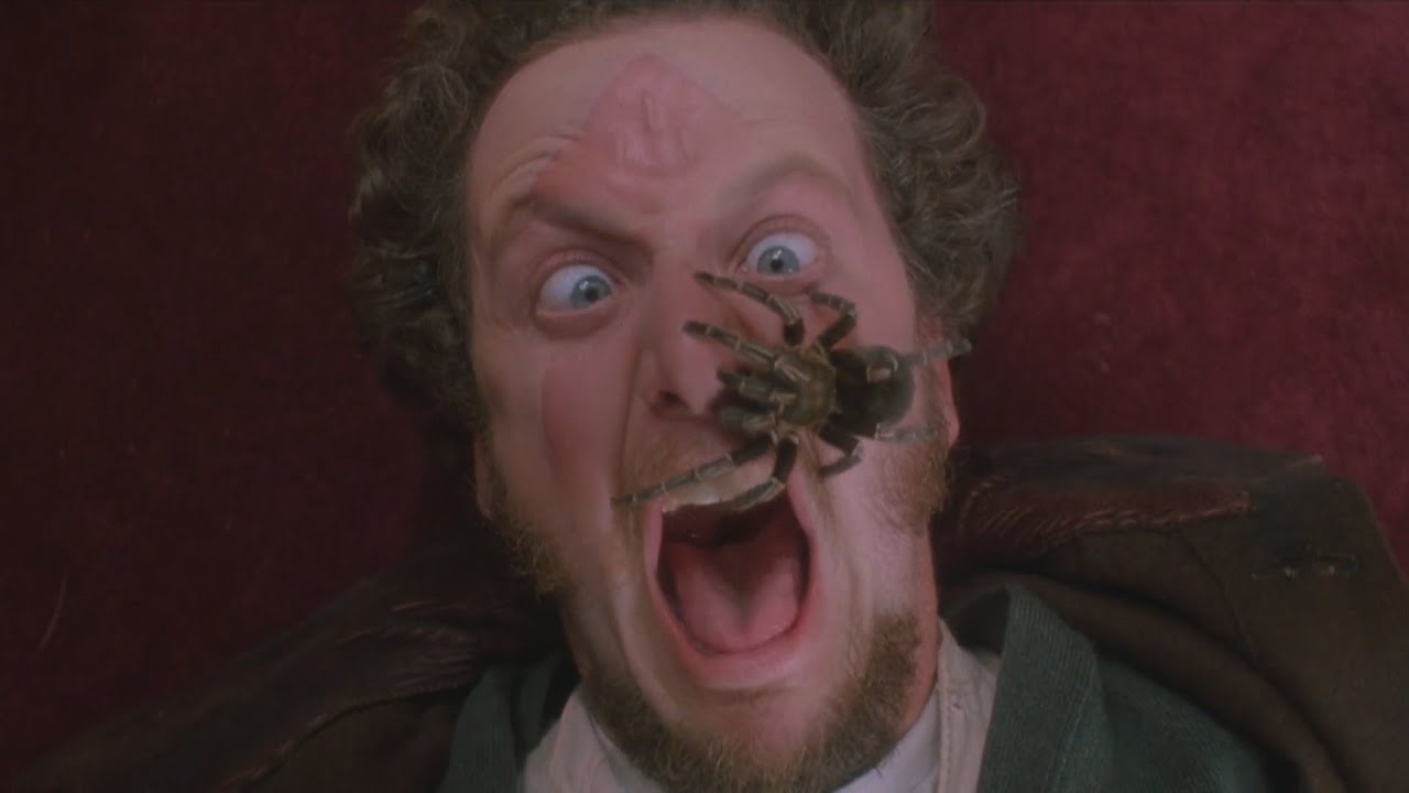 Home Alone 1 and 2 but it's just Harry and Marv being injured and abused
