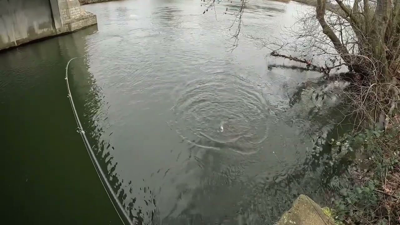 Pike Fishing on Thames