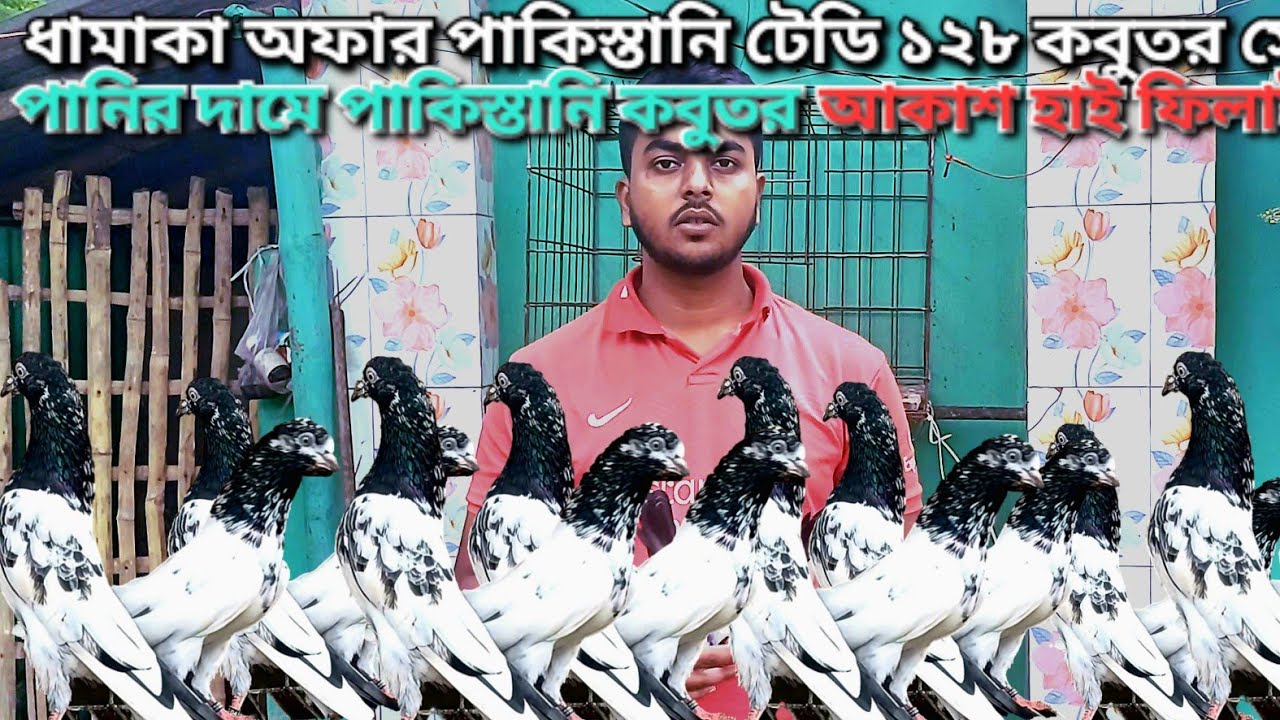 ঈদের লাস্ট ধামাকা অফার পাকিস্তানি টেডি ১২৮ চিনা টেডি পানির দামে। #সেল পোস্ট
